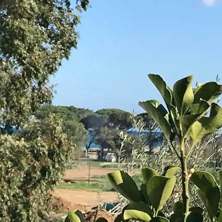 Budoniaffitti A Piedi * Budoni