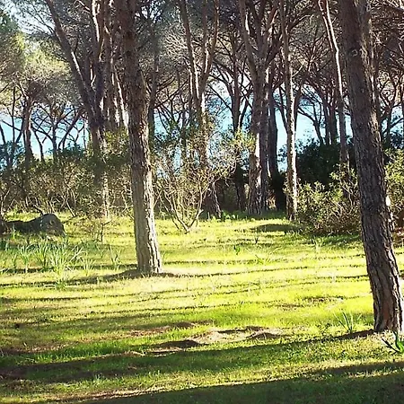 Budoniaffitti A Piedi Apartamento Budoni